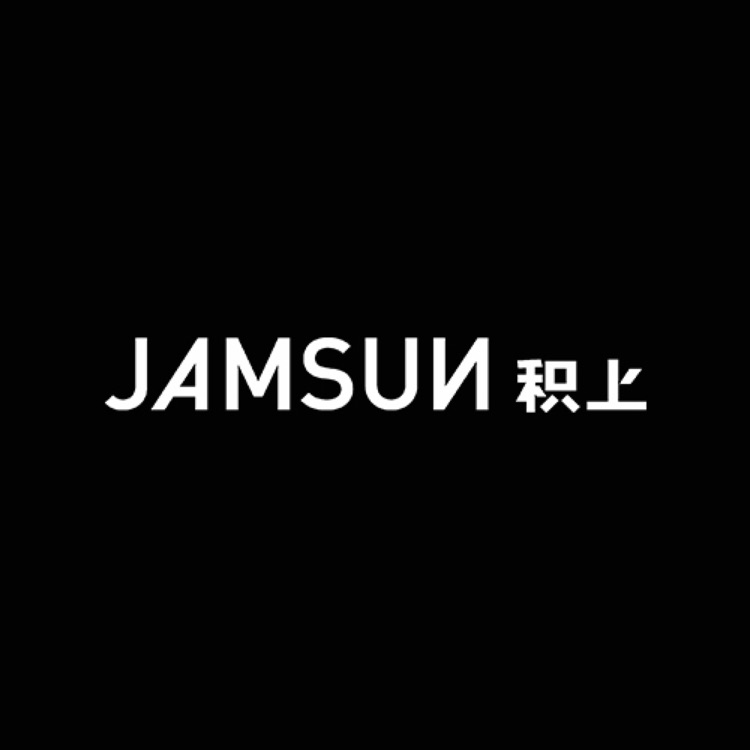 JAMSUN积上