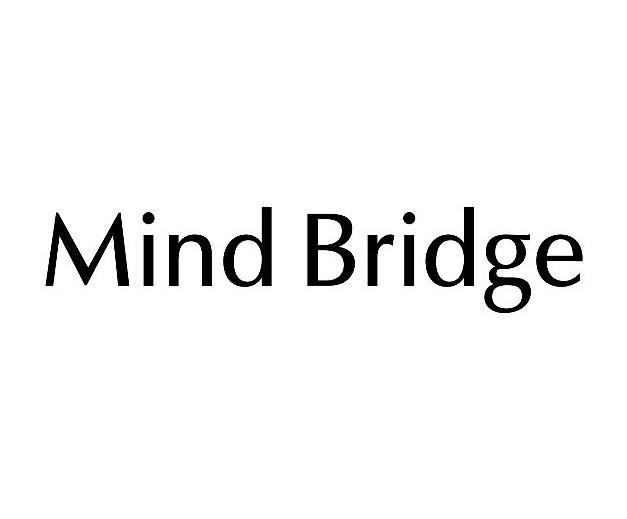 mind bridge