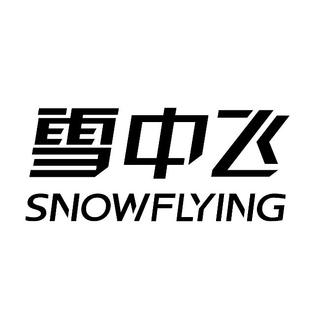 雪中飞