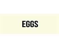 EGG STUDIOS