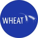 WHEAT