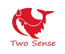 Two Sense