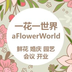 一花一世界