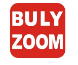 BULYZOOM超级会员折扣店