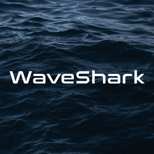 WaveShark小鲨鱼