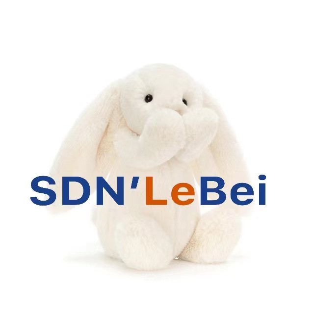 SDN LEBEI