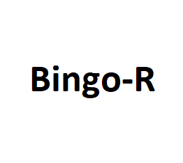 Bingo-R动漫体验馆