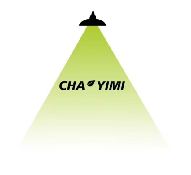 CHA YIMI