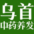 乌首中药养发